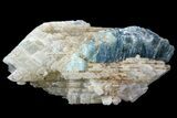 Fluorapatite Crystal In Calcite - New York #71626-1